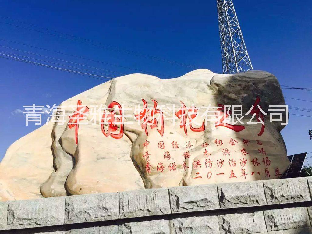 黑枸杞圖片/黑枸杞樣板圖 (4)
