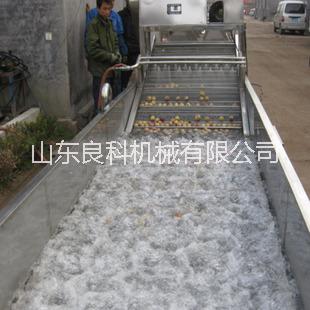 芹菜清洗機圖片/芹菜清洗機樣板圖 (2)