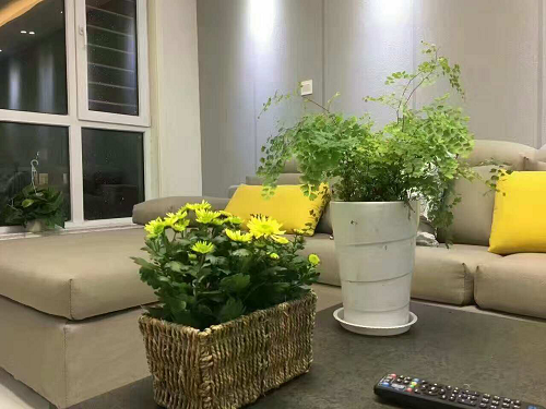 改變生活圖片/改變生活樣板圖 (4)