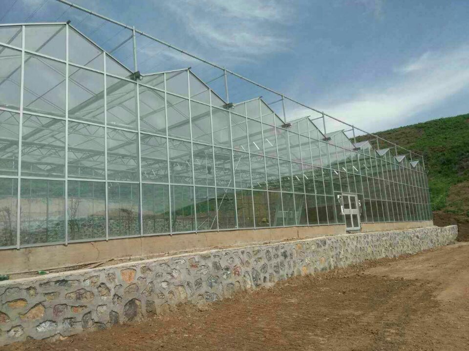 承接鄭州開封洛陽平頂山溫室大棚圖片