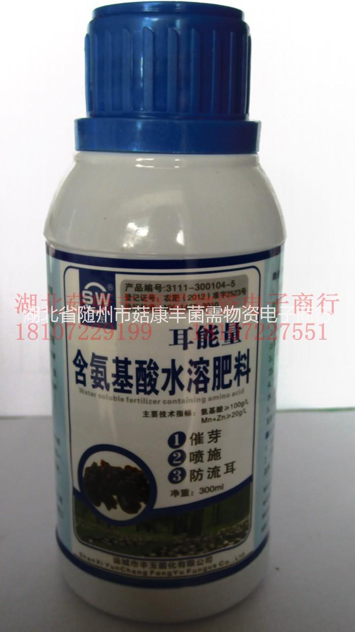 食用菌圖片/食用菌樣板圖 (1)