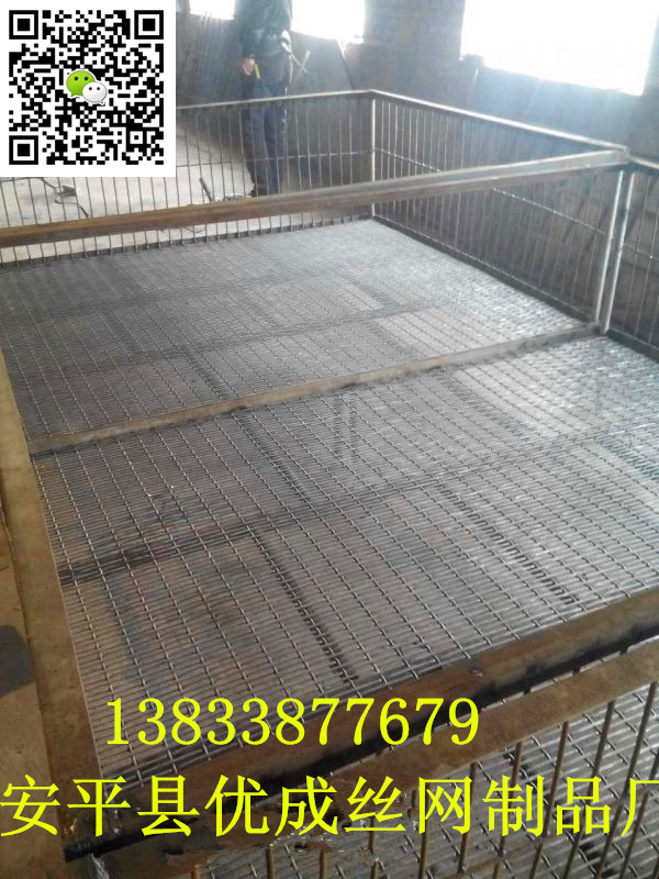 養(yǎng)豬網(wǎng)圖片/養(yǎng)豬網(wǎng)樣板圖 (4)