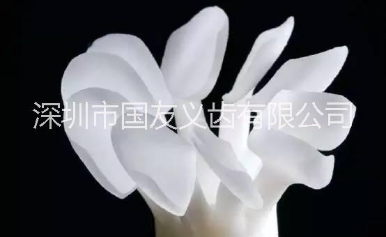 二氧化鋯全瓷牙圖片