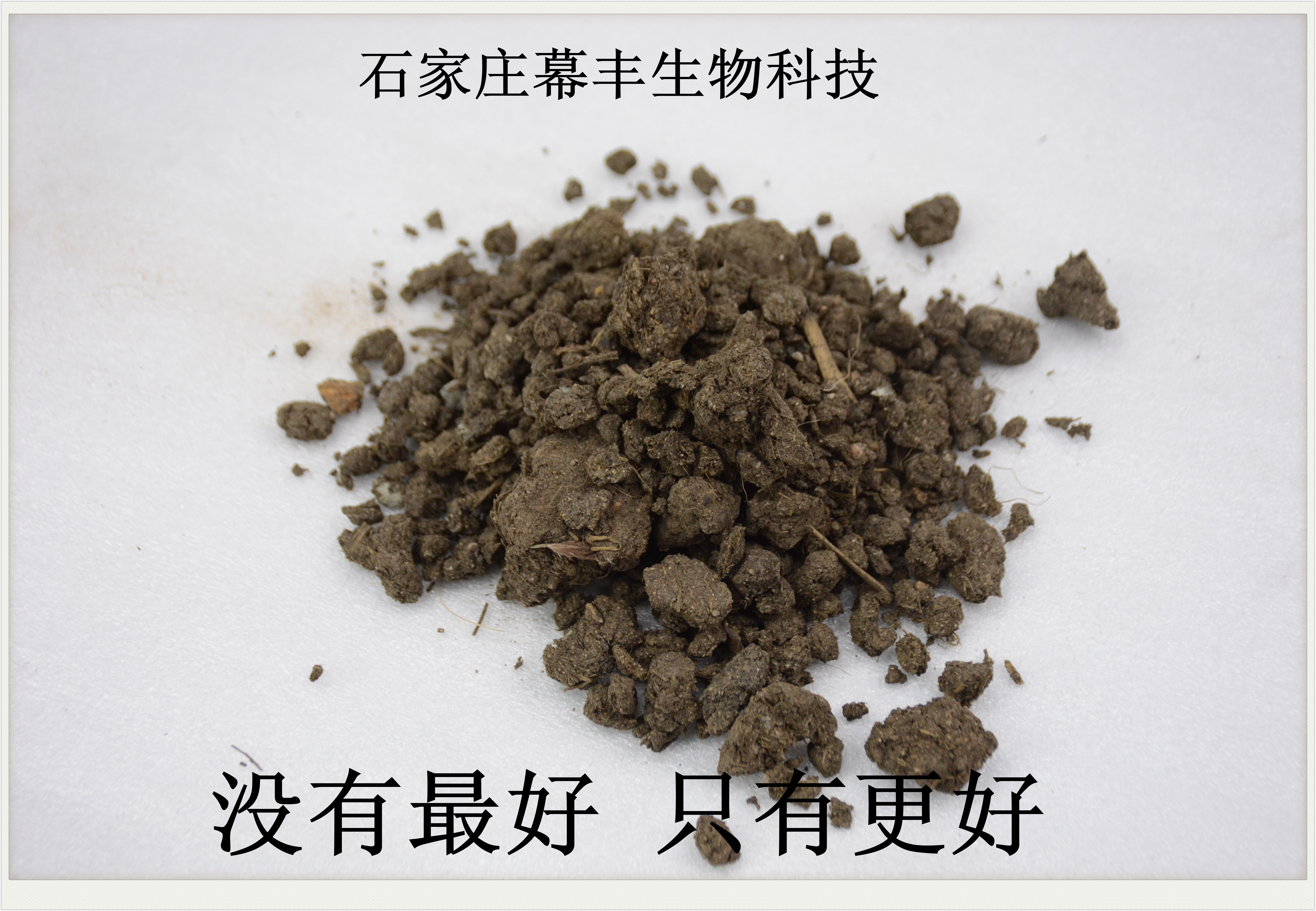 發(fā)酵有機(jī)肥 顆粒有機(jī)肥圖片/發(fā)酵有機(jī)肥 顆粒有機(jī)肥樣板圖 (1)