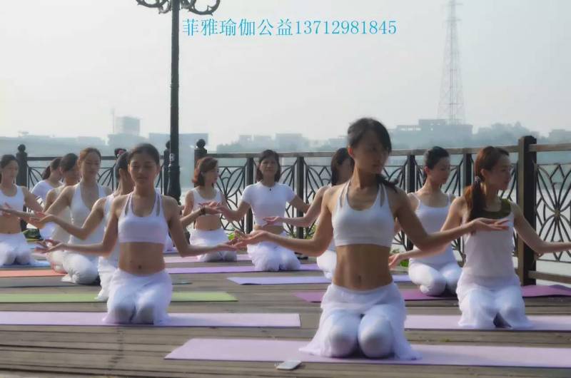 石龍高溫瑜伽教練培訓(xùn)石龍瑜伽教練圖片