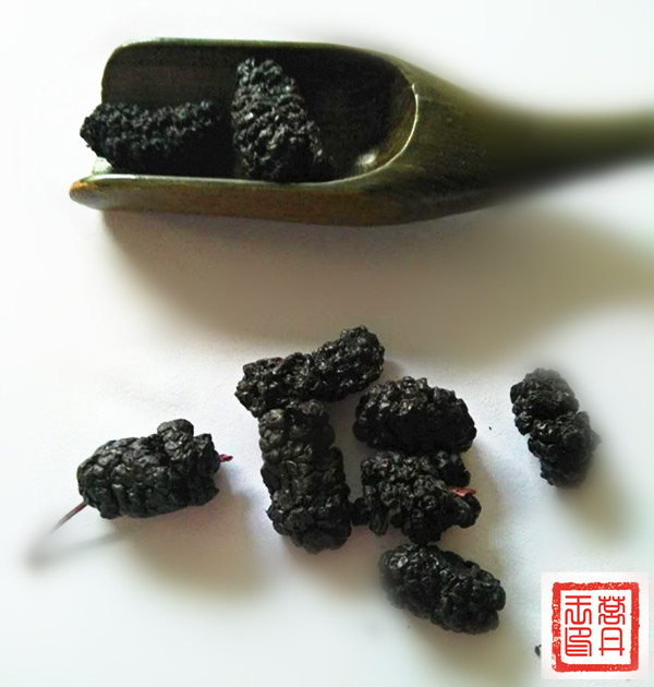 桑葚也可以泡茶喝王供应大量桑葚茶桑葚也可以泡茶喝吗莒丹王供应大量 桑葚也可以泡茶喝王供应大量桑葚茶