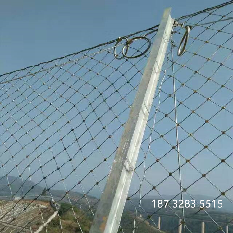 被動(dòng)防護(hù)網(wǎng)圖片/被動(dòng)防護(hù)網(wǎng)樣板圖 (4)