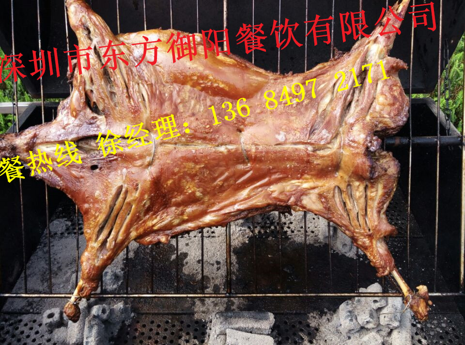 五一出行戶外BBQ燒烤上門服務(wù)圖片/五一出行戶外BBQ燒烤上門服務(wù)樣板圖 (3)
