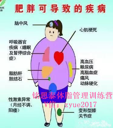 銘思泰體脂管理訓(xùn)練營節(jié)食讓你更胖圖片/銘思泰體脂管理訓(xùn)練營節(jié)食讓你更胖樣板圖 (2)