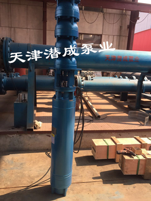 臥式深井泵|大功率深井泵|水池臥式泵|天津臥式深井泵廠家
