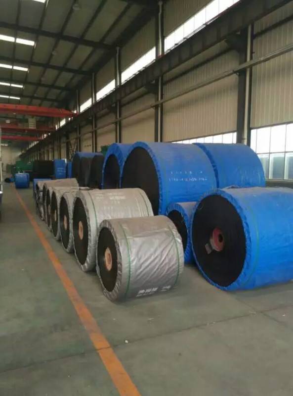 輸送帶價(jià)格圖片/輸送帶價(jià)格樣板圖 (2)