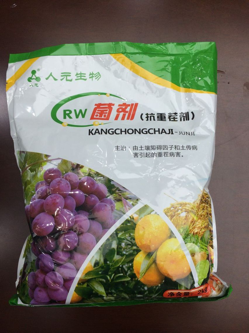 枯草芽孢桿菌圖片/枯草芽孢桿菌樣板圖 (2)