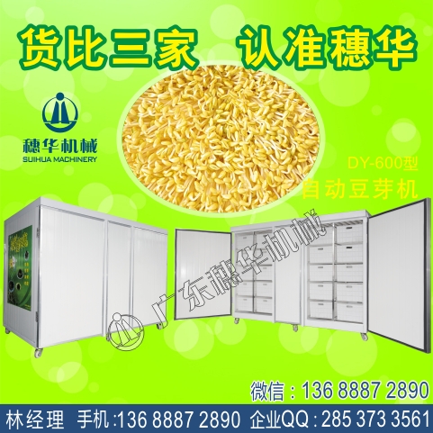 豆芽機圖片/豆芽機樣板圖 (4)