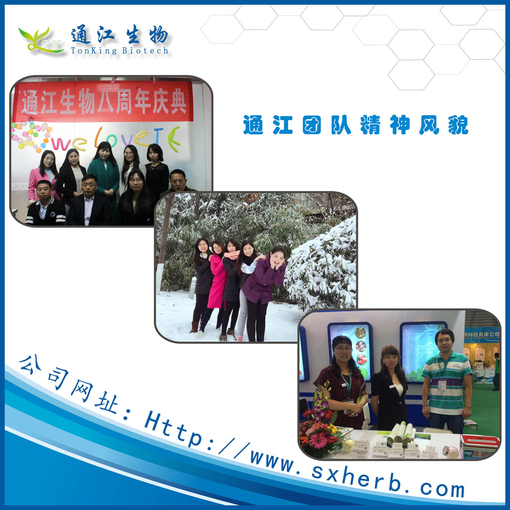 牡蠣粉圖片/牡蠣粉樣板圖 (3)