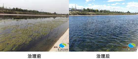 生物治理圖片/生物治理樣板圖 (1)