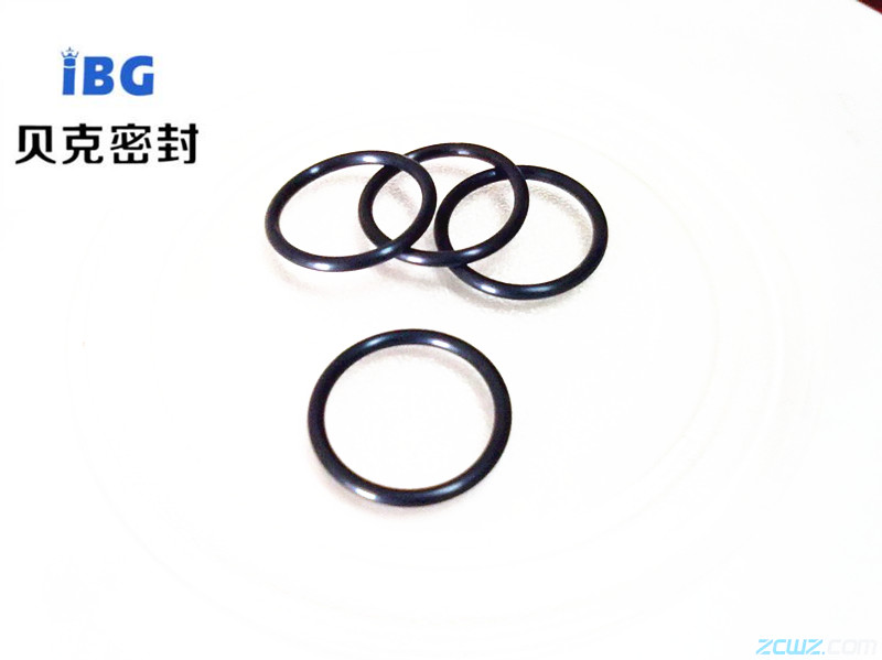 氟膠密封圈 耐高溫 防腐蝕 規(guī)格齊全 貝克廠家現(xiàn)貨