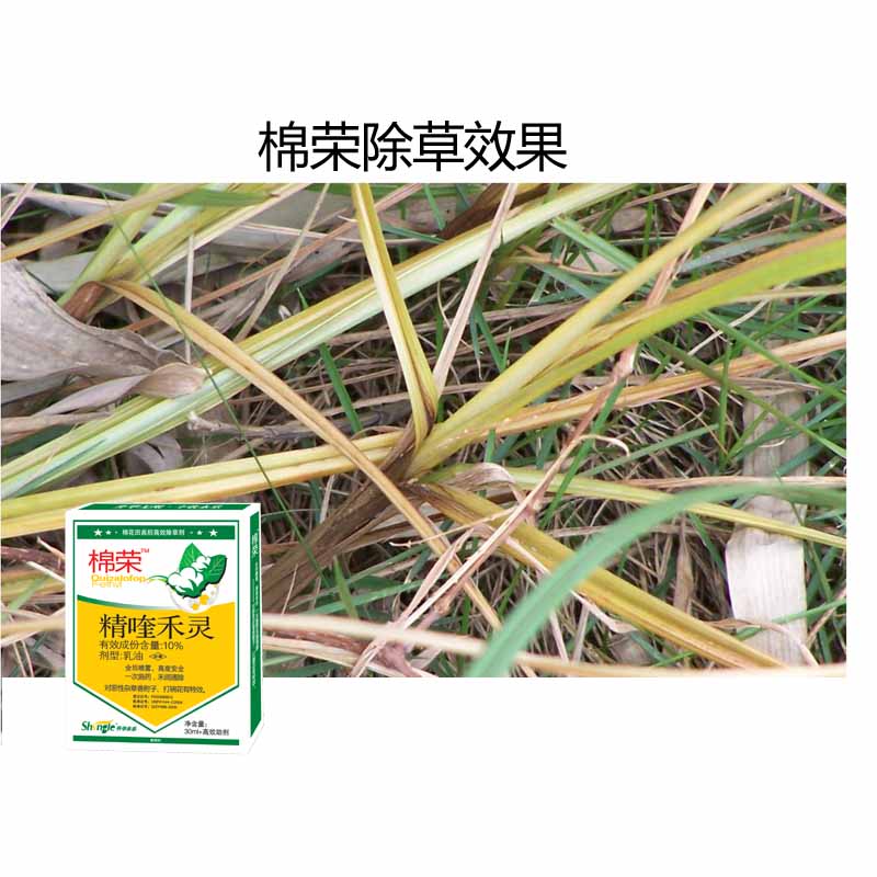 除草劑圖片/除草劑樣板圖 (2)