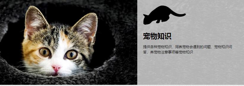 貓家園歡迎你！圖片/貓家園歡迎你！樣板圖 (3)