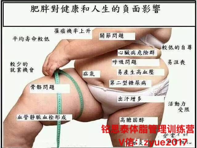 铭思泰体脂管理训练营/为什要减肥图片