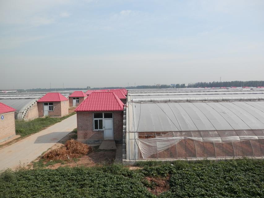 智能溫室廠家圖片