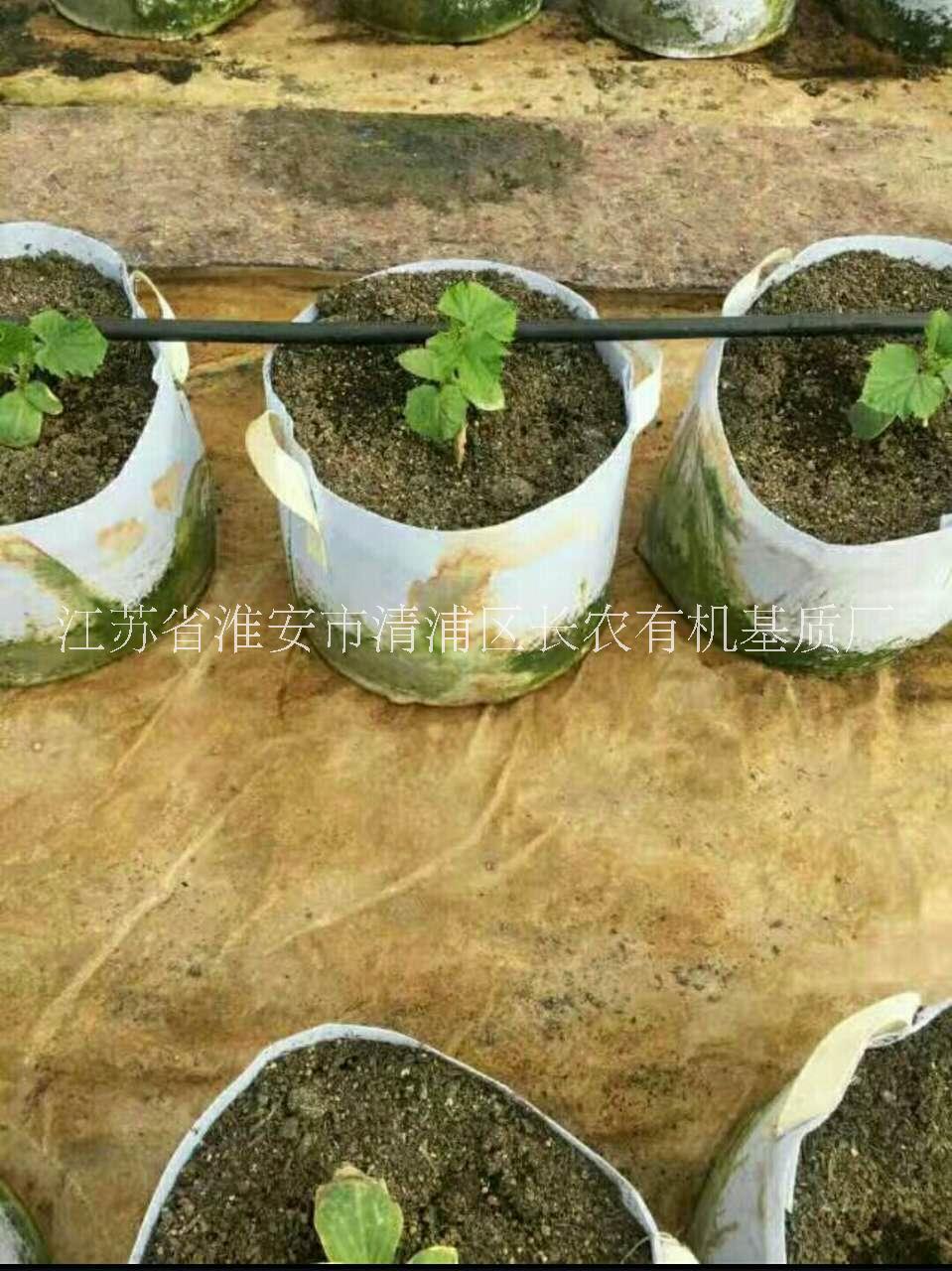 瓜果有機基質(zhì)專用肥料圖片/瓜果有機基質(zhì)專用肥料樣板圖 (2)