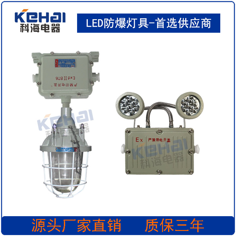 照明應(yīng)急兩用燈圖片/照明應(yīng)急兩用燈樣板圖 (3)