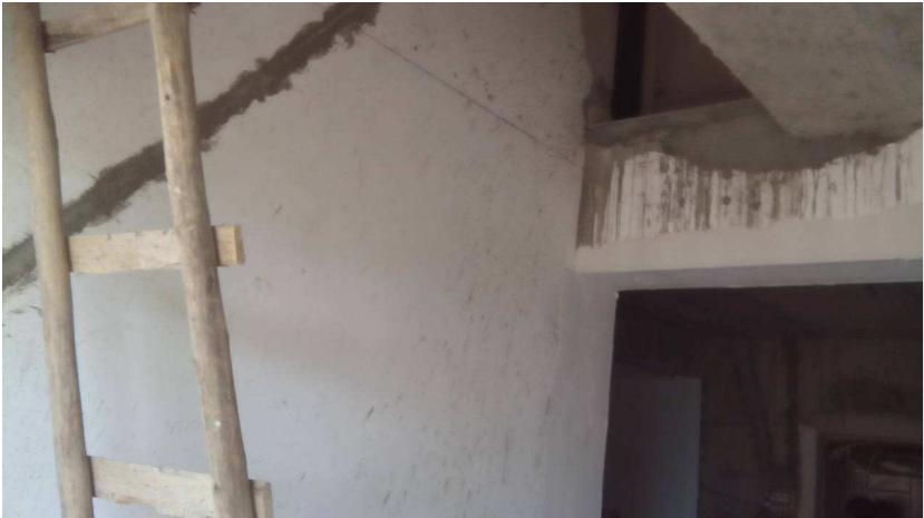 觀瀾搭鐵皮房圖片/觀瀾搭鐵皮房樣板圖 (3)