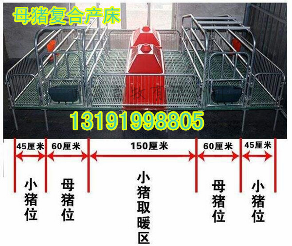 復(fù)合母豬產(chǎn)床圖片/復(fù)合母豬產(chǎn)床樣板圖 (1)