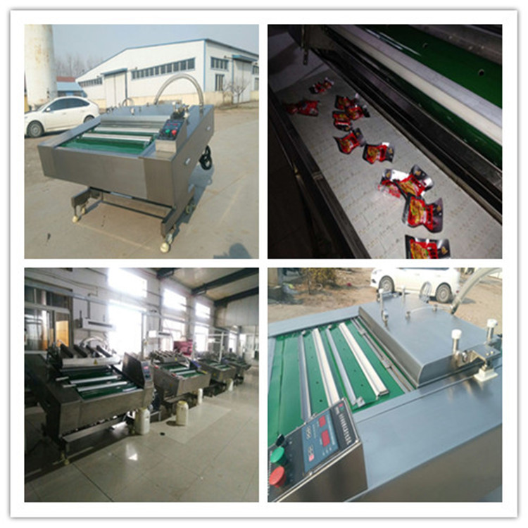 廠家直銷1000型真空包裝機(jī)圖片/廠家直銷1000型真空包裝機(jī)樣板圖 (3)