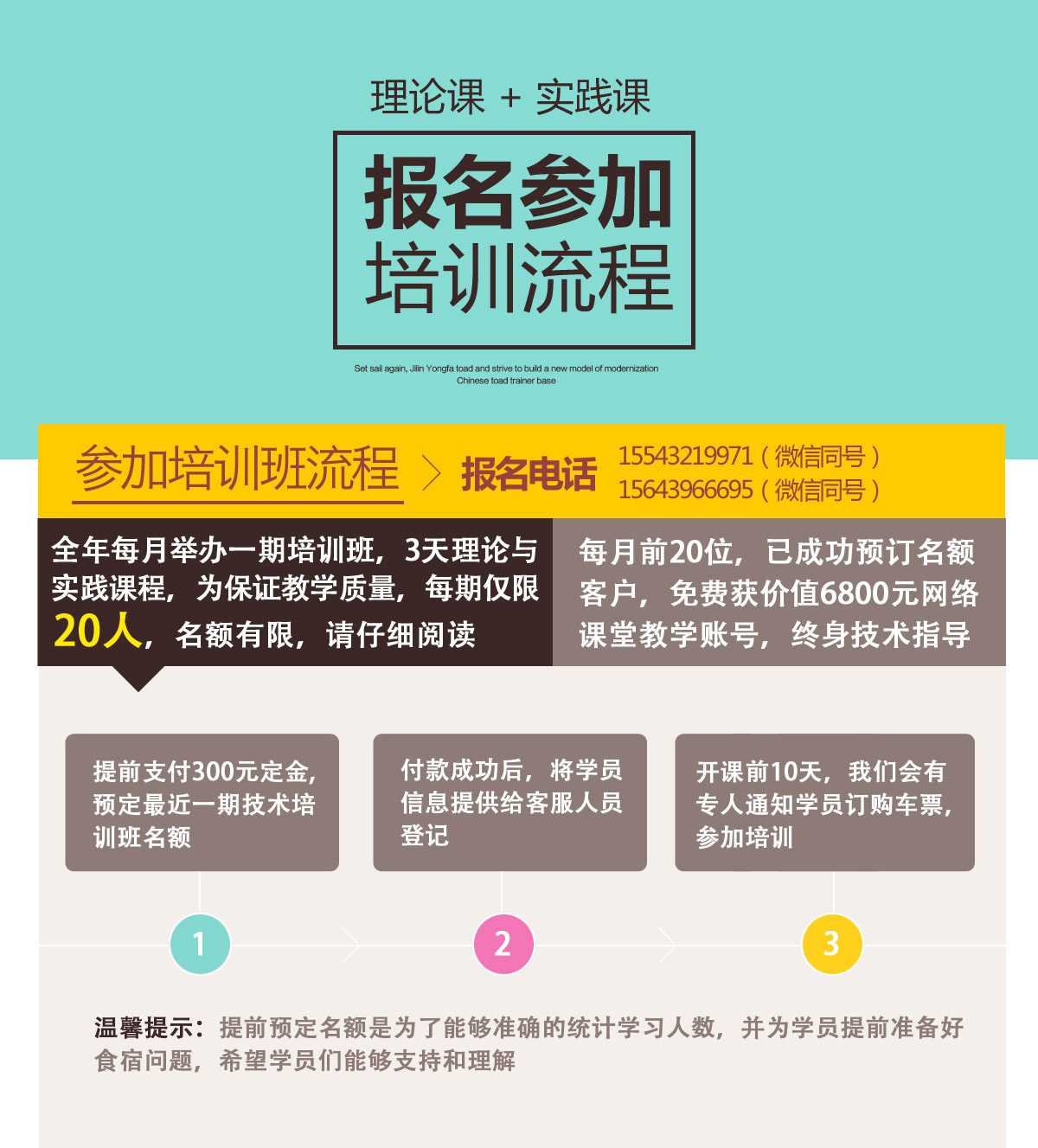 蟾蜍養(yǎng)殖圖片/蟾蜍養(yǎng)殖樣板圖 (2)