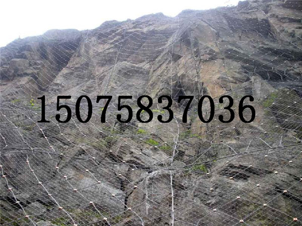 坡防護網(wǎng)圖片/坡防護網(wǎng)樣板圖 (4)