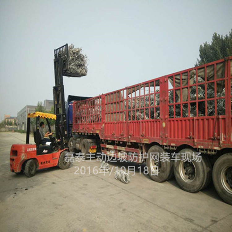 邊坡防護網(wǎng)圖片/邊坡防護網(wǎng)樣板圖 (4)