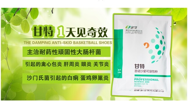 大腸桿菌特效圖片/大腸桿菌特效樣板圖 (1)