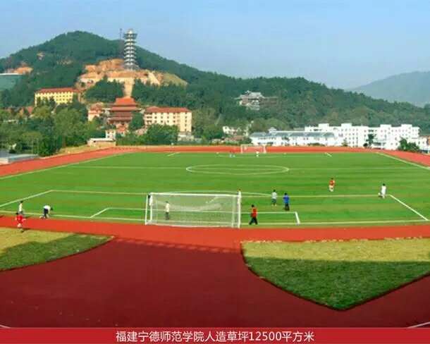 綠昂運動地面專家圖片