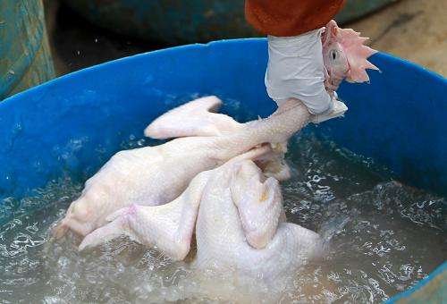 西餐調(diào)料圖片/西餐調(diào)料樣板圖 (3)