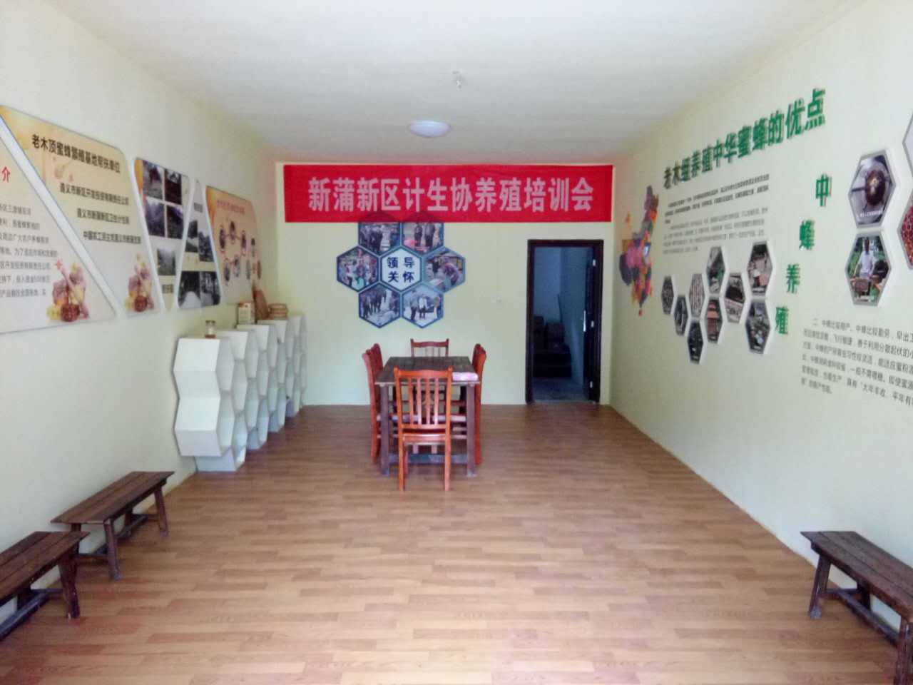 貴州蜜蜂繁殖圖片/貴州蜜蜂繁殖樣板圖 (2)