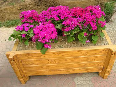 花箱圖片/花箱樣板圖 (1)