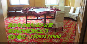 地毯清洗圖片/地毯清洗樣板圖 (2)