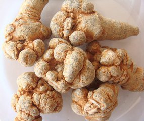 云南18頭三七價格圖片/云南18頭三七價格樣板圖 (3)