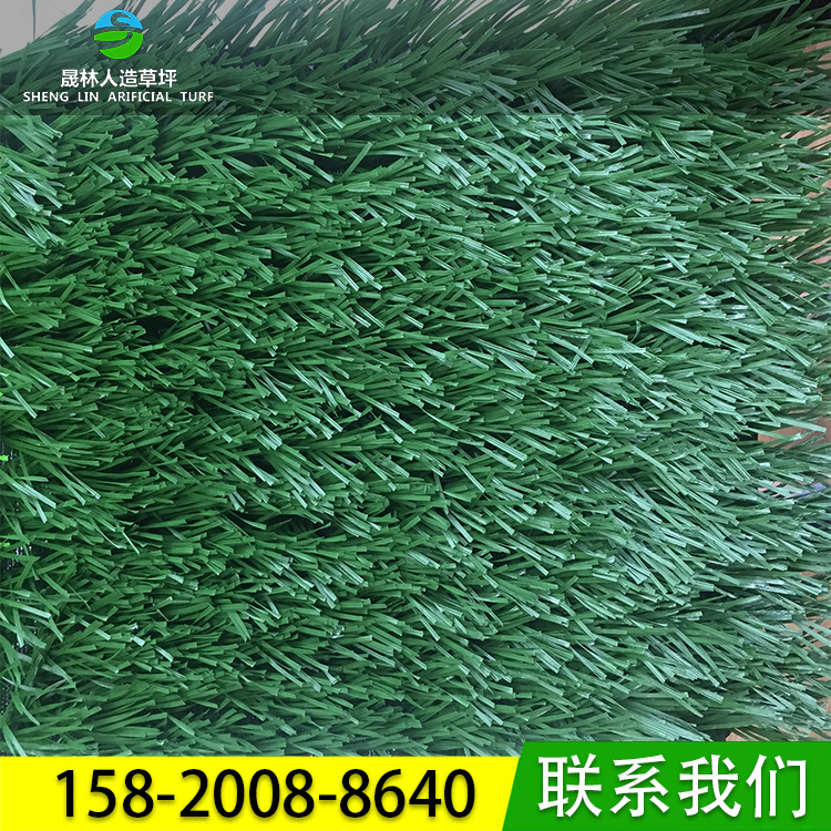 人造草坪圖片/人造草坪樣板圖 (1)