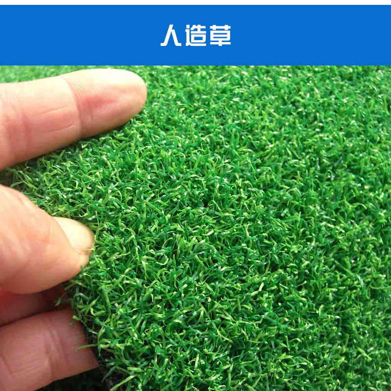 人造草抗老化防曬防水防滑耐磨腳感舒適色澤鮮艷使用壽命長價格實惠人造草廠家供應
