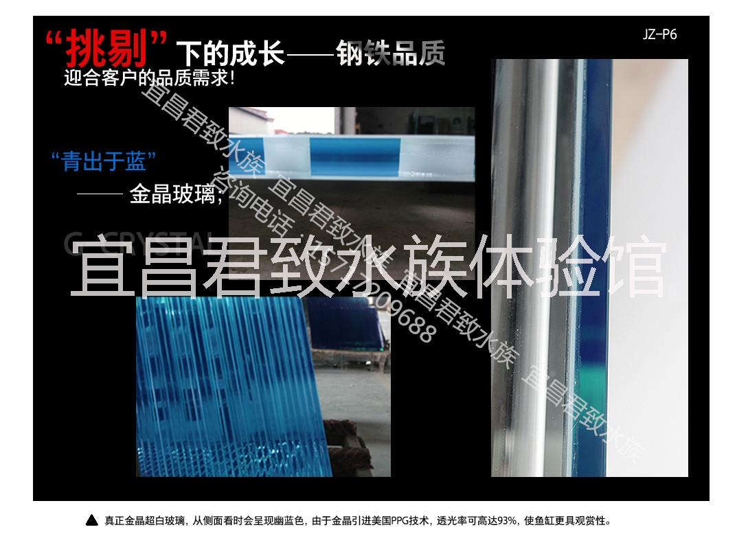 宜昌君致水族魚缸專業(yè)定制
