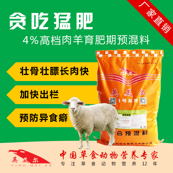 育肥羊圖片/育肥羊樣板圖 (1)