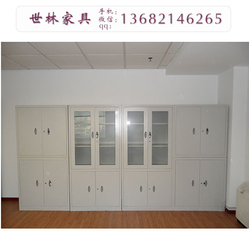 天津辦*件柜儲物柜 鐵皮文件柜生產(chǎn)廠家 世林辦公家具網(wǎng)
