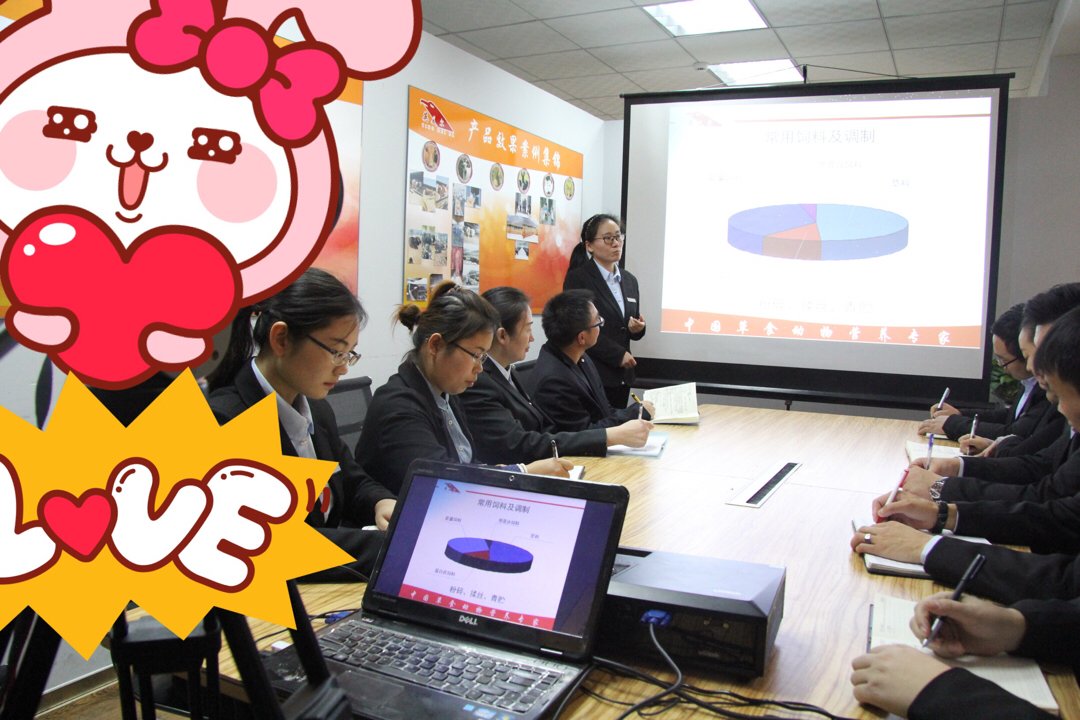 犢牛飼料圖片/犢牛飼料樣板圖 (4)