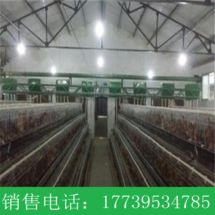 供應(yīng)自動喂料設(shè)備 龍門式上料機圖片/供應(yīng)自動喂料設(shè)備 龍門式上料機樣板圖 (2)