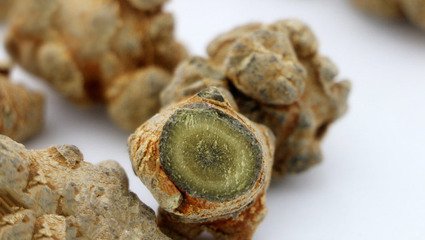 文山三七價(jià)格 文山新葉三七廠家 文山三七聯(lián)系方式