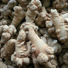 三七圖片/三七樣板圖 (3)