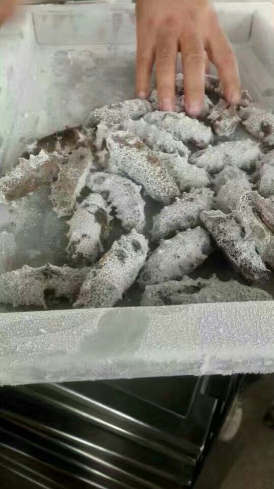 冷凍柜圖片/冷凍柜樣板圖 (4)