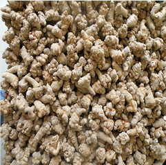 文山新葉三七價(jià)格圖片